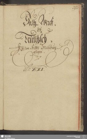 Saltz-Werck, bey Teutitzsch, In dem Stiffte Merseburg gelegen