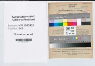Entnazifizierung Adolf Schneider, geb. 29.10.1909 (Angest.)