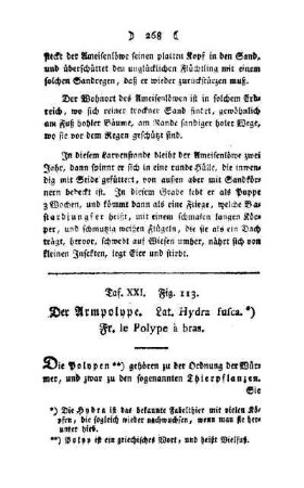 ¬Der¬ Armpolype : Taf. XXI, Fig. 113