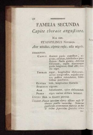FAMILIA SECUNDA Capite thorace angustiore