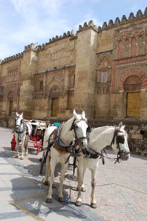 Pferdekutschen vor der Mezquita Moschee-Kathedrale