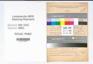 Entnazifizierung Walter Schultz , geb. 19.09.1903 (Bueroangest.)
