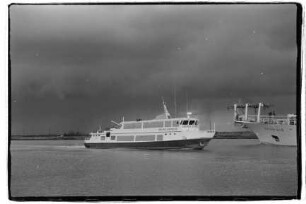 Delfini Express (1975), Kapaut Shipping Co., Piraeus