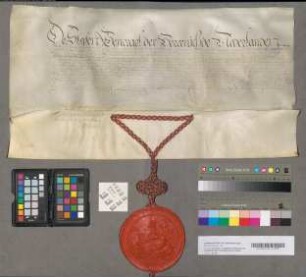 Lijfrentebrief van de Staten-Generaal van f 600.- voor Floris Albert Belgicus, jonggeboren zoon van Johan Wolfard van Brederode, 2 Januari 1655. Perkament met 1 uithangend zegel aan een koord, gevlochten van zijden gouddraad.