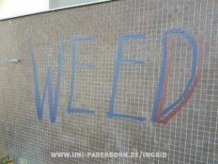 SMOKE KILLS WEED CHILLS
