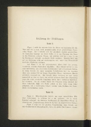 Erklärung der Abbildungen.