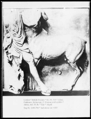 Südmetope 12: Kentaur und Lapithin
