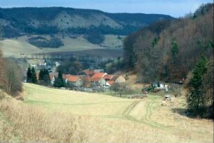 Blick über den Ort von SW, hinten Muschelkalkhänge