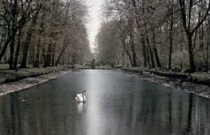Hofgarten