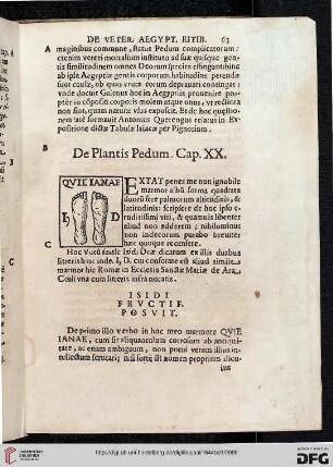 De Plantis Pedum. Cap. XX