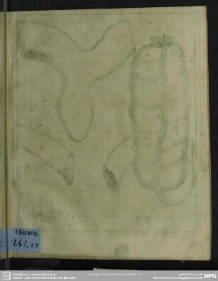 Dissertatio Medica Chirurgica De Hernia Incarcerata Suppurata Saepe Non Lethali