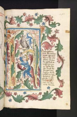 N-Initiale mit Wildmann, Eule und Fisch