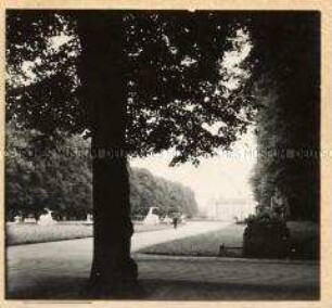 Schlosspark in Schwetzingen