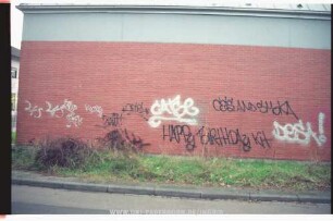 CAtSe