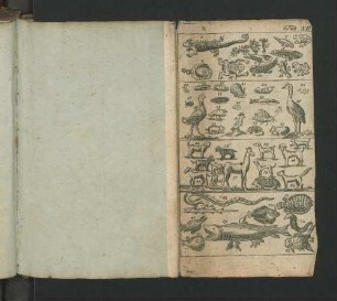Tab. XII.
