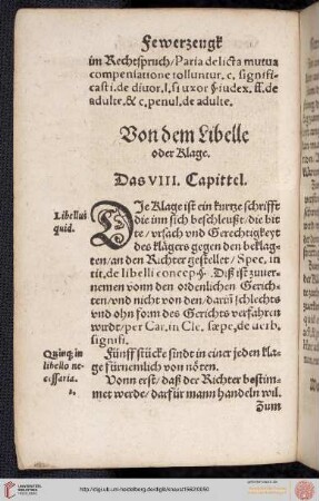 VIII. Capittel: Von dem Libelle oder Klage