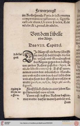 VIII. Capittel: Von dem Libelle oder Klage