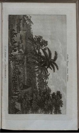 A view at Anamooka