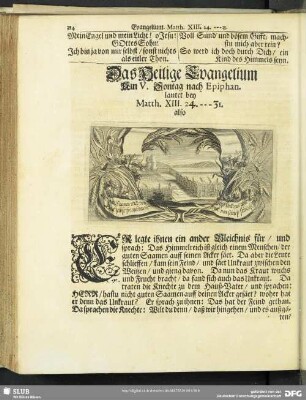 Das Heilige Evangelium Am V. Sontag nach Epiphan. lautet bey Matth. XIII. 24.-31.