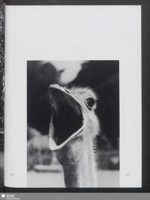 Hagenbeck