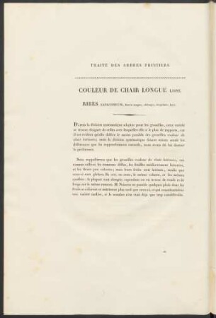 Coleur De Chair Longue Lisse. Ribes Sanguineum ...