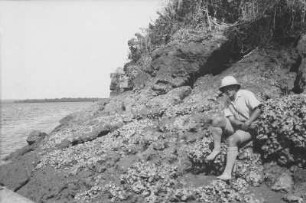 Austernbank am Creek : Expeditionsmitglied Alfred Mayer-Gürr auf einer Austernbank am Creek in Lindi