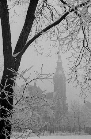 Leipzig im Winter, Blick aus einem Park auf die Thomaskirche
