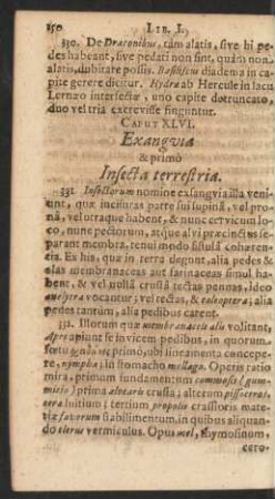 Caput. XLVI. Exangvia & primo Insecta terrestria