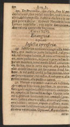 Caput. XLVI. Exangvia & primo Insecta terrestria
