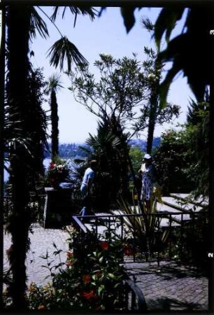 Insel Mainau: Tropenterrasse, mit Spitzli