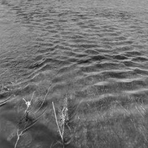 Spreewald um 1940. Überflutete Wiesen und Felder. : Błóta wokoło 1940. Přepławjene łuki a pola.