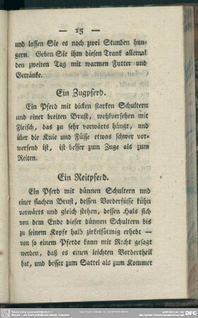 Ein Reitpferd