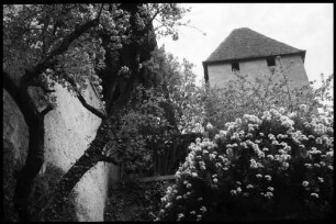 Burgdorf: Blumen an der Schlossmauer und Turm