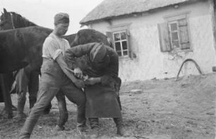 Zweiter Weltkrieg. Zur Einquartierung. Sowjetunion. Angehörige der deutschen Wehrmacht beim Beschlagen eines Reitpferdes