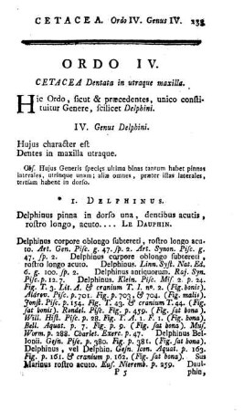 Ordo IV. Cetacea Dentata in utraque maxilla