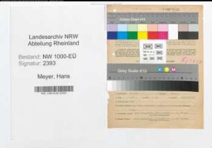 Entnazifizierung Hans Meyer, geb. 22.08.1898 (Verw.Inspektor)