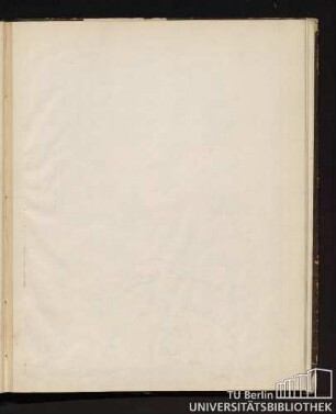Tafel IX. Fig. 1 bis Fig. 13.