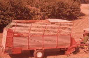 Fotografie: Ladewagen, Futtererntetechnik