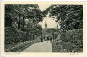 Riesa. Stadtpark