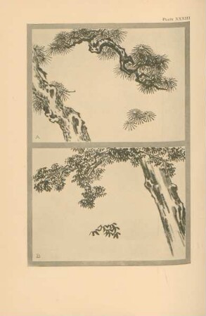 Plate XXXIII