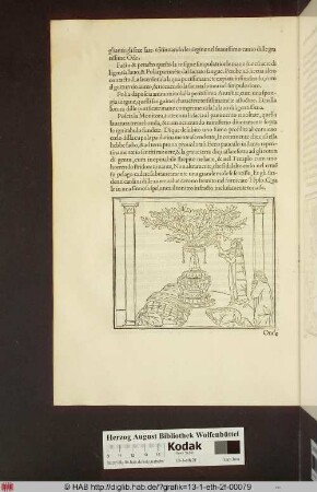[Die Priesterin wässert die dargereichten Früchte und es erwächst hieraus ein Baum]