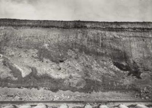 Seitendorf (Zatonie), Braunkohlentagebau, nördliche Abbauwand mit Stauchungen und dünnen Flözen