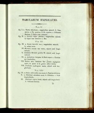 TABULARUM EXPLICATIO.