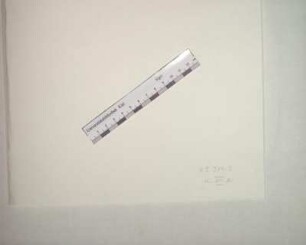 XIII.A. Verfassung des Otmannischen Reichs