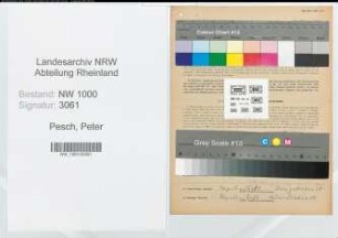 Entnazifizierung Peter Pesch, geb. 11.06.1905 (Brandmeister)