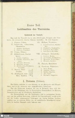 Ersteil Teil. Leitfossilien des Tierreichs