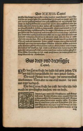 Das drey und dreyssigste Capitel.