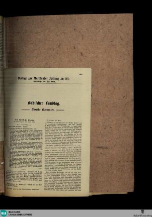 Karlsruher Zeitung, Badischer Landtag. Zweite Kammer. 133. öffentliche Sitzung