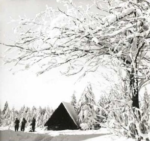 Zinnwald-Georgenfeld. Moorhütte im Hochmoor