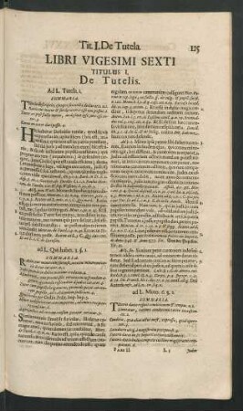 Libri Vigesimi Sexti